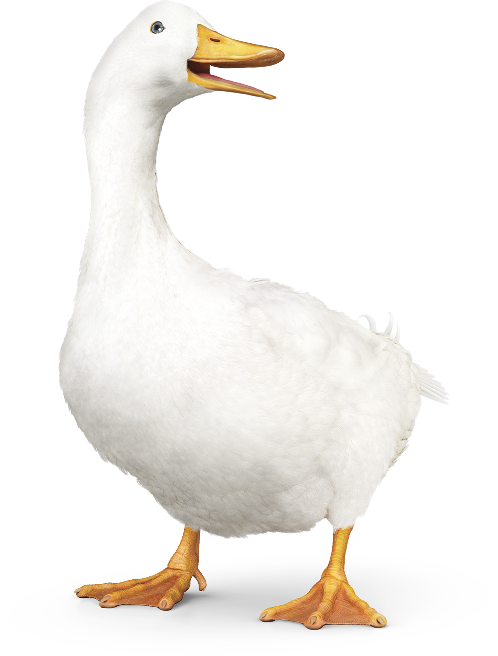 Aflac Duck